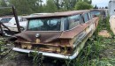 neglected classic cars in hidden backyard