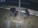 Vigilante Flexman has been taking out speed cameras with an angle grinder in Northern Italy