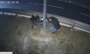 Vigilante Flexman has been taking out speed cameras with an angle grinder in Northern Italy