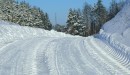 Snow-Covered Road