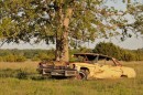 Tree growing out of an abandoned car