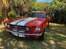 1965 Shelby GT350 tribute