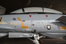 Richard Kalen F-14 Tomcat