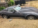 Neglected 1977 Corvette