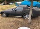 Neglected 1977 Corvette