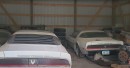 second-generation Pontiac Firebird collection