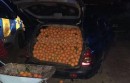 4 tons of oranges stolen in Spain