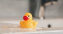 Rubber Duck Toy on the side of bathtub
