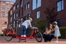 Trek has launched two new electric cargo bikes