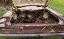 1969 Dodge Super Bee yard finds