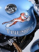 Triumph Tiger 100 Cafe Racer