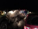 Tumbleweeds shut down Washington highway, burying several cars
