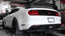 Twin-Turbo Ford Mustang Shelby GT350R by Fathouse Performance