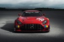 Mercedes-AMG GT3 50 Years Legend of Spa