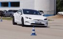 Tesla Model S Plaid - Moose Test