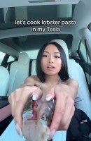 Content creator has gone viral for using her Tesla Model 3 as a mobile kitchen