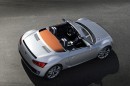 VW Concept BlueSport
