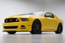 2014 "Yellow Jacket" Mustang