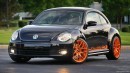 Beetle RS Project - Stage I