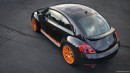 Beetle RS Project - Stage I