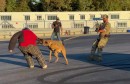 Dawson County Sherriffs Department Canine unit demo