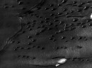 Sand dunes "migrating" on the surface of Mars
