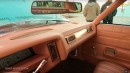1973 Chevy Caprice Donk