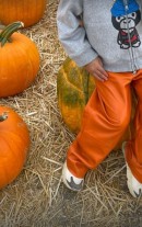 Kylie Jenner Pumpkin Patch with Stormi