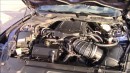 2018 Mustang GT 3.0L Whipple Supercharger 1/4 Mile - PBD Tuned RareFab Built