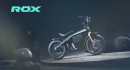 Kuberg Rox carbon fiber pushbike