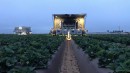 TX robotic harvester