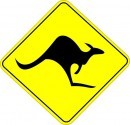 Animals on the road warning sign
