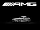 Mercedes-AMG GT3 Model Cars