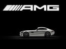 Mercedes-AMG GT3 Model Cars