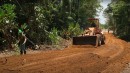 Building Roads Through Amazon Rainforest
