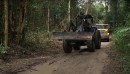 Logging in the Amazon Rainforest