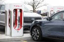 Ford EVs charging at a Tesla Supercharger station