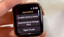 Stats App on an Apple Watch