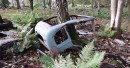 Classic Cars Forest Find