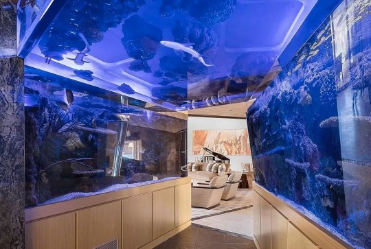 $50 million estate by Guy Dreier comes with matching 10\-car garage, a shark aquarium tunnel and outstanding amenities