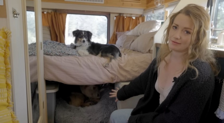 \$20k School Bus Motorhome with Lots of Storage and a Functional Kitchen