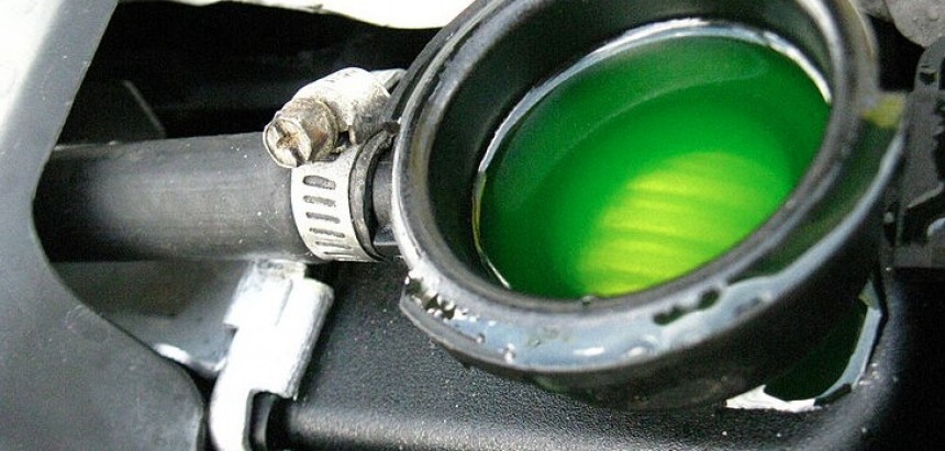 Green\-colored antifreeze in a radiator\. Don't forget to check the hoses