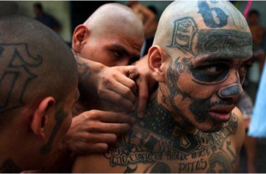 The US is a giant free car pool for MS 13