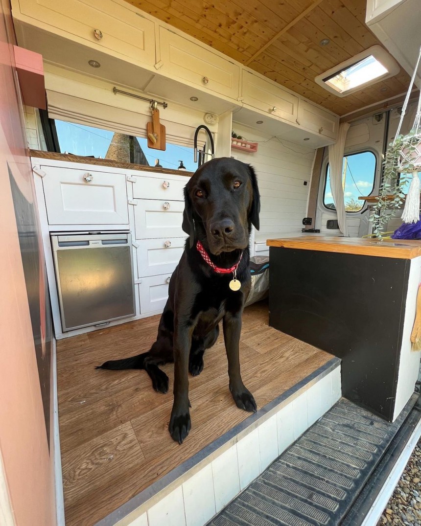 Digital nomad turns Mercedes\-Benz Sprinter into a cozy home on wheels as DIY project