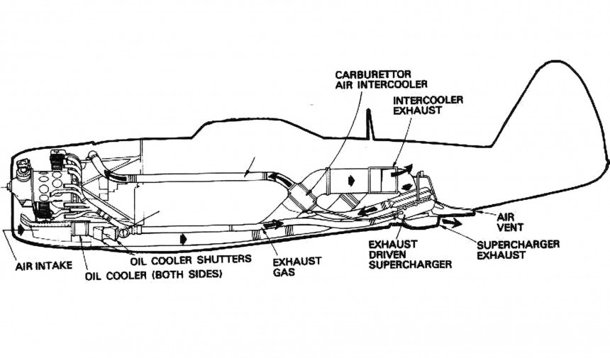 P\-47 Thunderbolt Cutaway