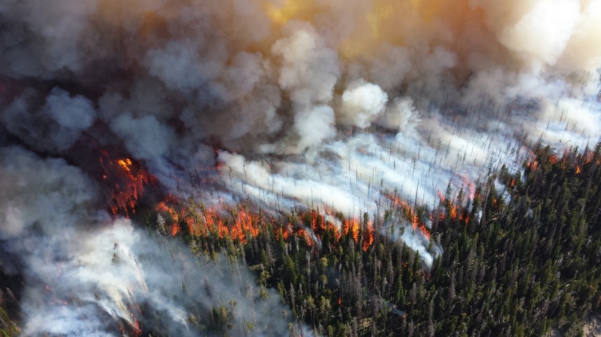 Climate change is the excuse for all wildfires, but what if it is not their main cause\?