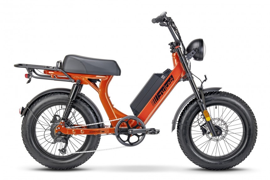 Electric bicycle - Figure 2