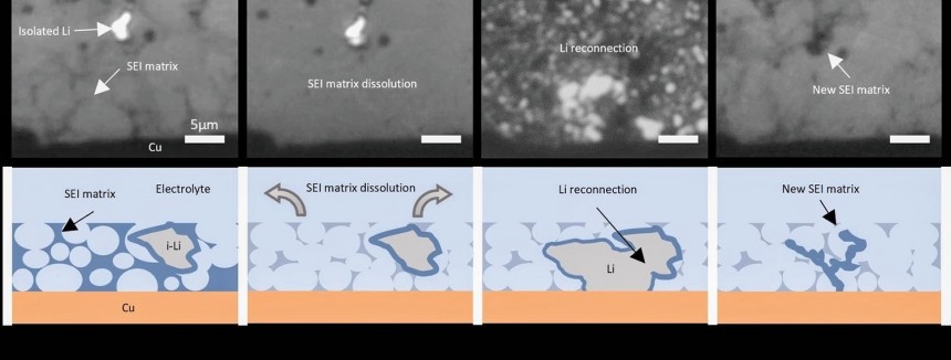 A micron\-size piece of isolated lithium is trapped in the solid electrolyte interphase \(SEI\) matrix when a lithium metal battery discharges
