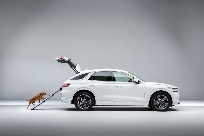 The Genesis X Dog concept module is all about comfort and pampering for your pooch