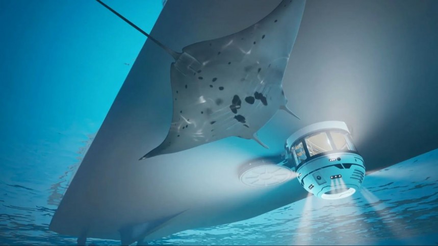 The Hydrosphere offers underwater experiences comparable to a submarine, but with extra luxury